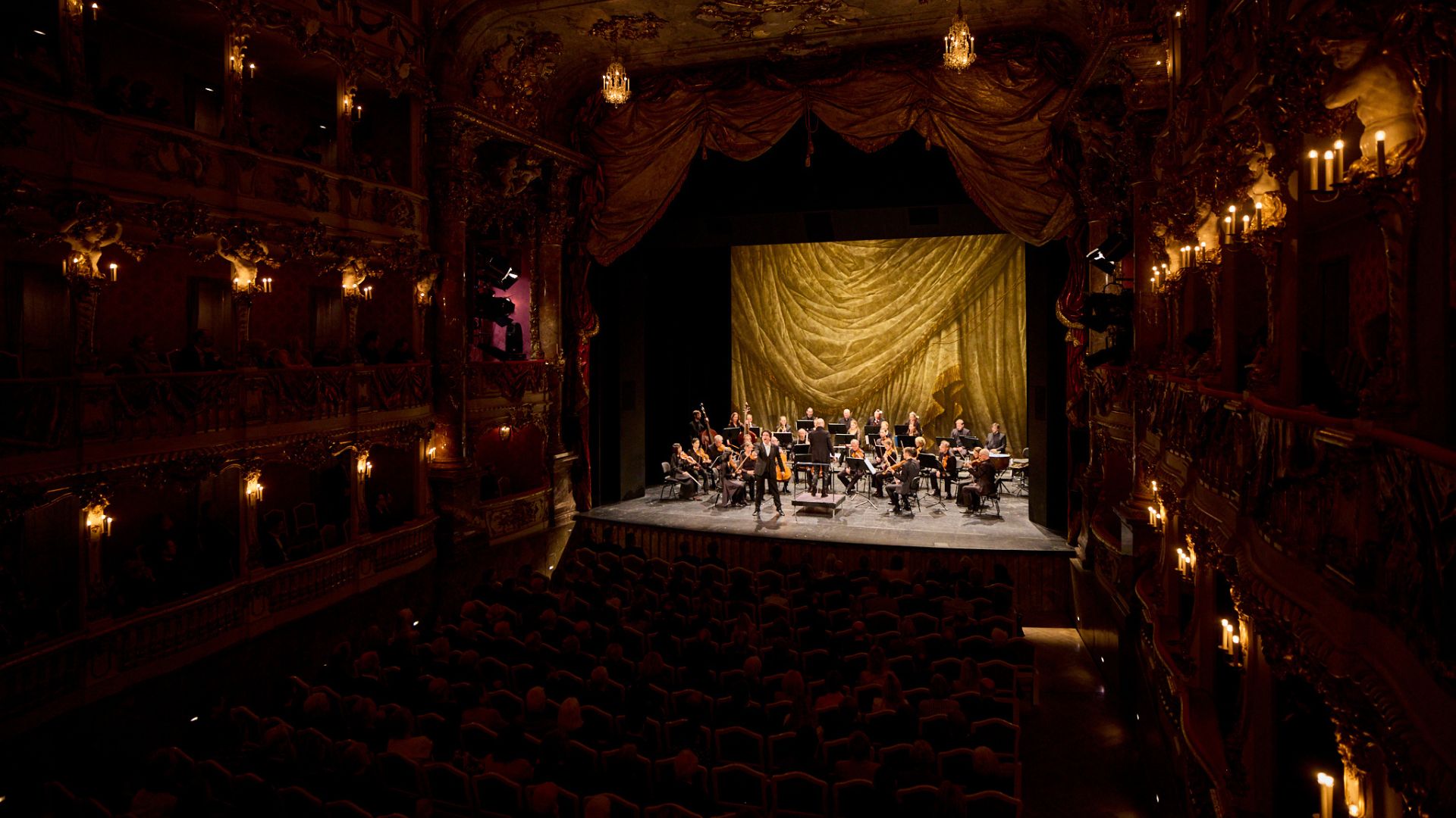 12.02.2026 -  MSC-Konzert