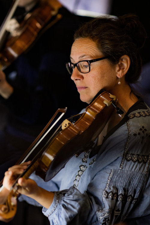 Violin