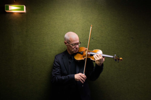 Violin