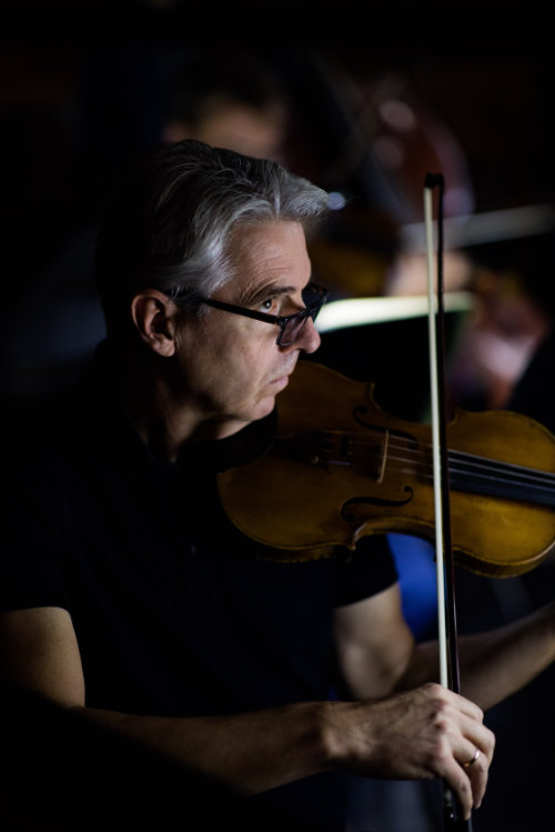 Violin