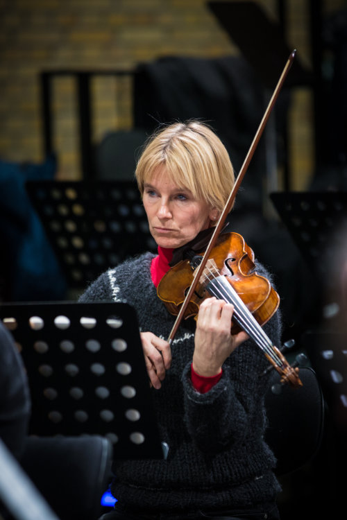 Violin