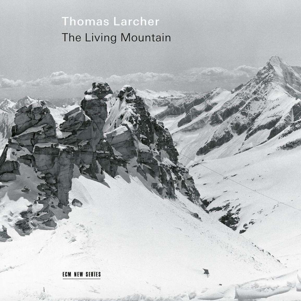 Larcher The Living Mountain